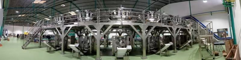 automated snack packaging line Indonesia factory production