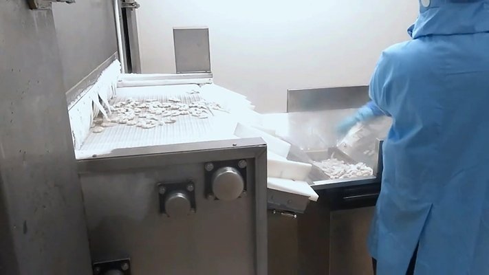 IQF freezer connected to frozen shrimp packing line